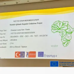 Sharing the V2SDF Project – How Vocational Education in Burundi is Fighting Deforestation with Innovation